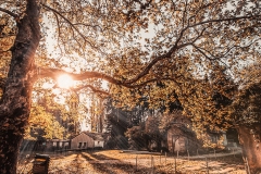 Landscape_14