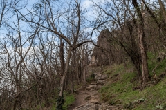 Landscape_7
