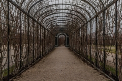 Landscape_9