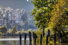 vpphotography_Tirana-lake-spring