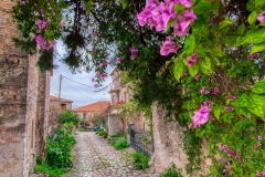 vpphotography_kardamili-flowers-path-rocks