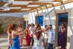 Wedding_64